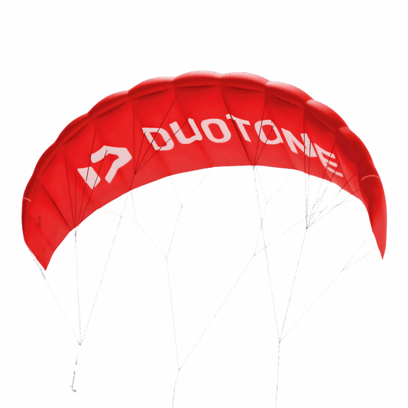 Duotone Lizard Trainer Kite